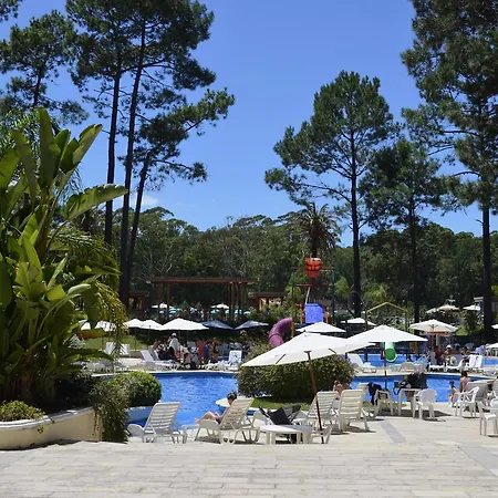Appartamento - Apartamento Francesc Cambo Lloret de Mar